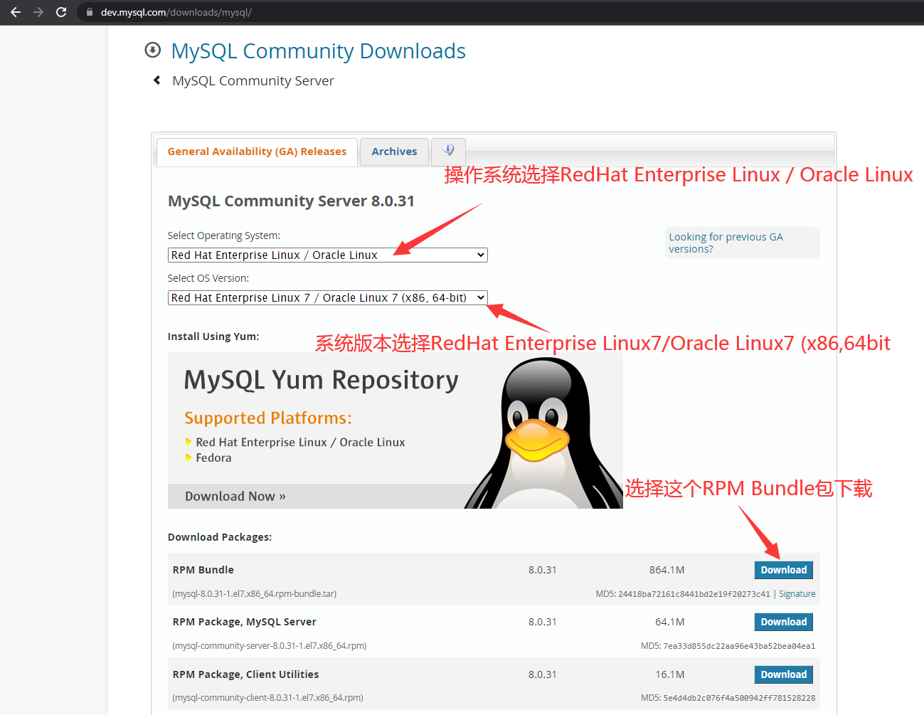 戴戴的Linux